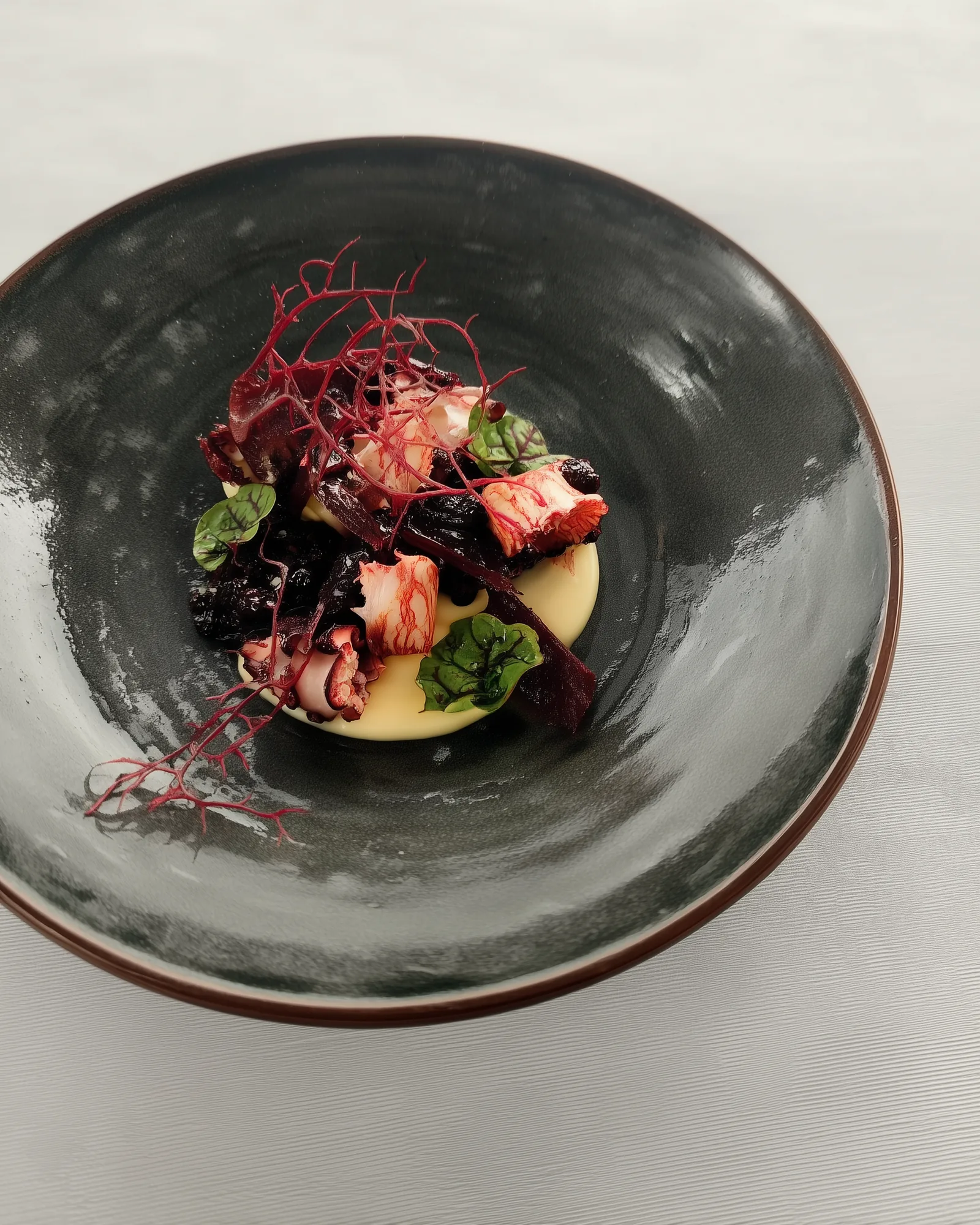 Plat gastronomique